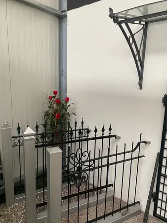Schwarzer Metallzaun mit Zierspitzen und Rosenpflanze vor heller Wand im Eingangsbereich.