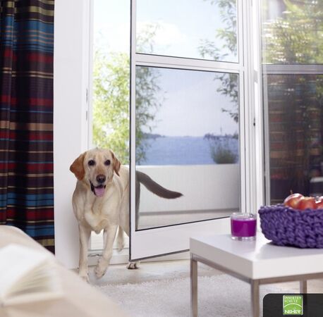 Ein Labrador läuft durch eine geöffnete Terrassentür mit Insektenschutz ins Wohnzimmer.
